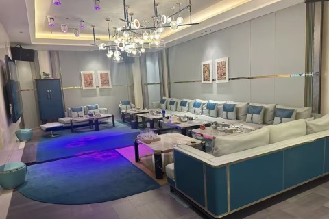 津夜绽放职场新舞台 酒促岗位虚位以待